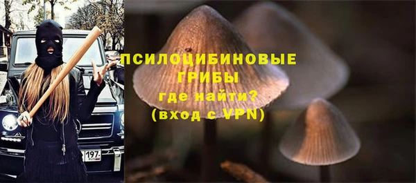 mix Арсеньев