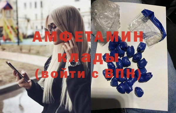 мдпв Бородино