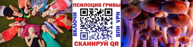 mega зеркало Каспийск Псилоцибиновые грибы Magic Shrooms